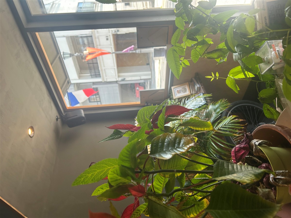 新着情報